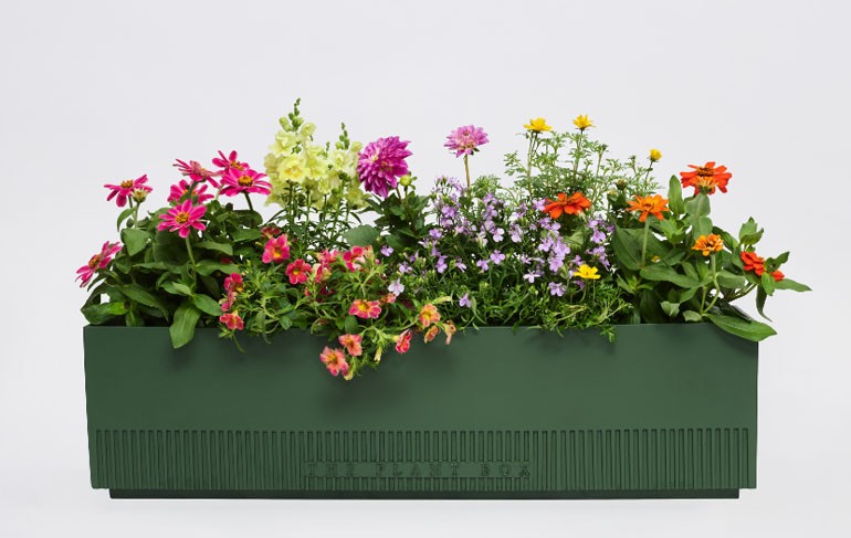 The Plant Box - Blumenkasten