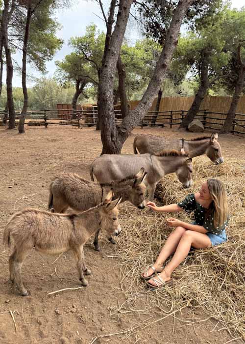 Forte Village Resort